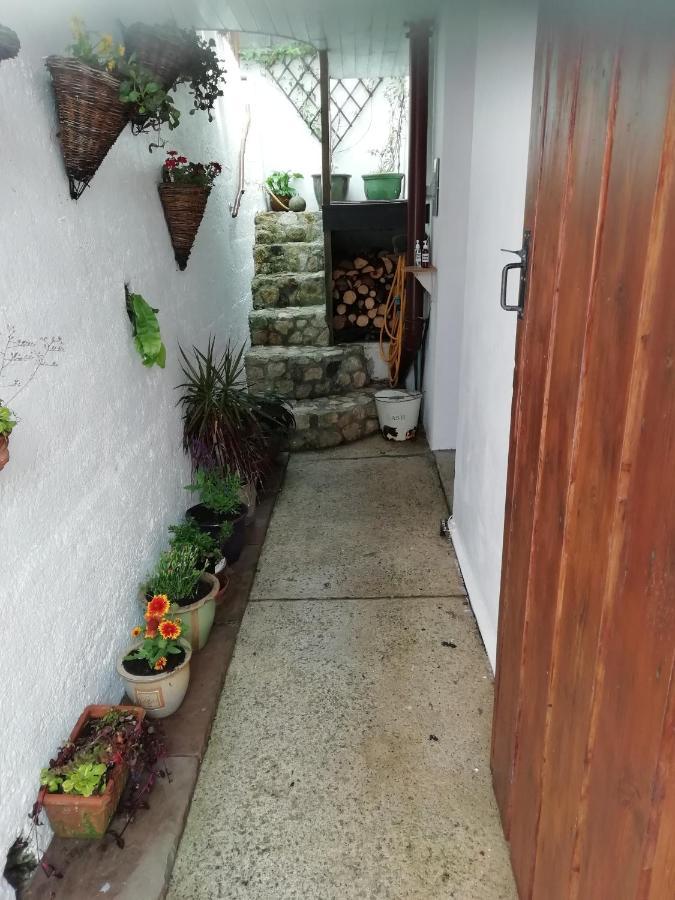 Clearview Cottage سانت أوستيل المظهر الخارجي الصورة
