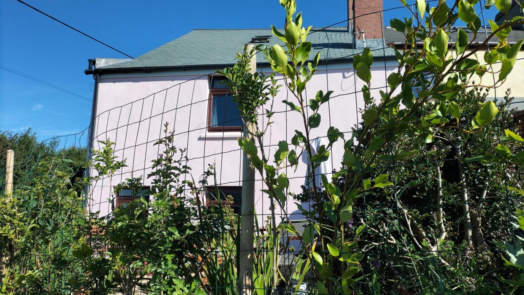 Clearview Cottage سانت أوستيل المظهر الخارجي الصورة